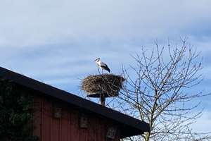 Property thumbnail 19