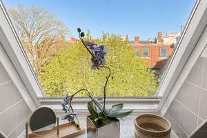 Sonniges Dachgeschoss mit großer Terrasse, Kamin & ruhige, zentrale Lage – Blumenthalstrasse 13, 12103 Tempelhof, Berlin – Vorschaubild 14