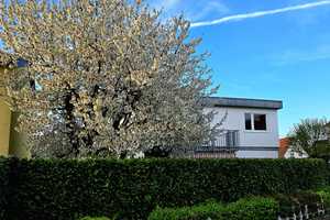 Einfamilienhaus mit großen Garten  – Birnbachstraße 9, 76829 Landau in der Pfalz – Vorschaubild 30