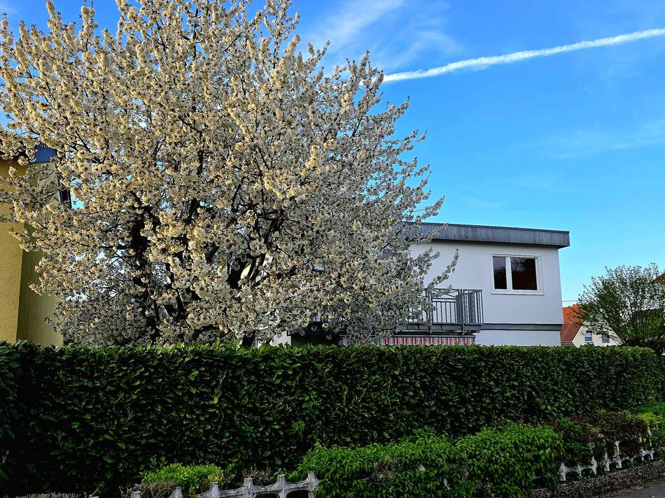 Hausansicht Süd