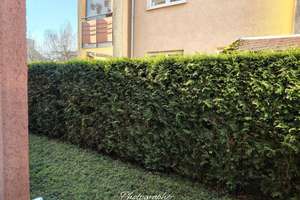 Leben...Wohnen...Genießen. Ruhig, grün und zentral -  Exklusive Gartenwohnung, die begeistert – Die vollständige Adresse der Immobilie erhältst du vom Anbieter., 90766 Scherbsgraben, Billinganlage, Fürth – Vorschaubild 29