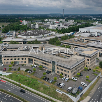 Flexible Raumaufteilung I Terrasse I Modern & flexibel