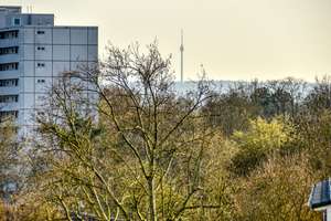 Property thumbnail 14