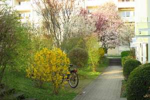 2,5-Zimmer mit EBK, Balkon, Tageslichtbad, Gästebad/WC und Abstellraum provisionsfrei – Die vollständige Adresse der Immobilie erhältst du vom Anbieter., 70597 Degerloch (Ortsteil), Stuttgart – Vorschaubild 4