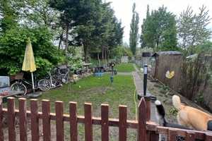 Viersen-Beberich, 3 Familien - Haus mit 20.000,-Euro, pa. Mieteinnahme und großem Garten – Viersen (Kreis) – Vorschaubild 2