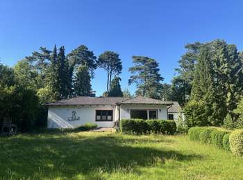 Ruhe, Natur & Kaminfeuer – stilvoll sanierter Bungalow in Bestlage
