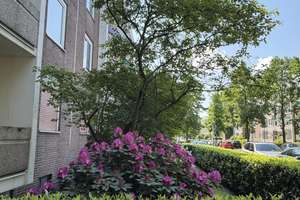 ***Hier ist Platz für  neue Ideen***Toll geschnittene Zweizimmerwohnung in Kaiserswerth*** – Ale Landstraße 81, 40489 Kaiserswerth, Düsseldorf – Vorschaubild 12