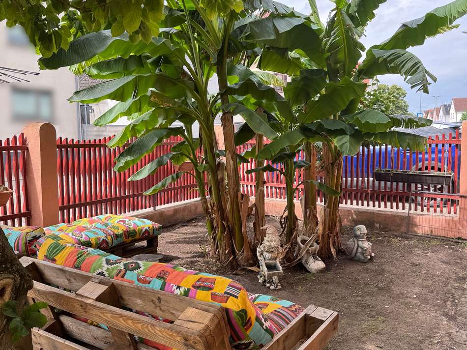 Chillen unter Bananenstaude