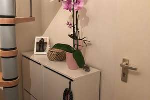 GEMÜTLICH! 3-Zimmer-Dachgeschosswohnung in Königshofzu vermieten! – Die vollständige Adresse der Immobilie erhältst du vom Anbieter., 47807 Fischeln, Krefeld – Vorschaubild 11