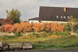 Gepflegtes Zweifamilienhaus in toller Lage von Lauter... Eigennutzung oder Kapitalanlage – Bamberg (Kreis) – Vorschaubild 6
