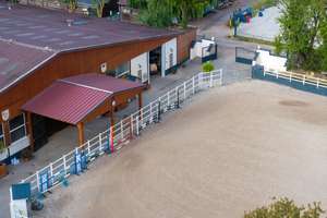 Moderne Reitanlage mit attraktivem Wohnhaus! – Die vollständige Adresse der Immobilie erhältst du vom Anbieter., 55271 Stadecken-Elsheim – Vorschaubild 31