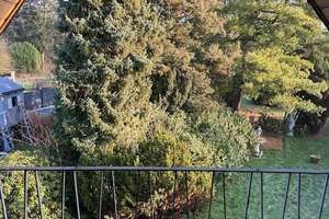 Freistehendes Einfamilienhaus mit weitläufigem Grundstück in Wickrathberg – Kinkelbach 70, 41189 Wickrathberg, Mönchengladbach – Vorschaubild 22