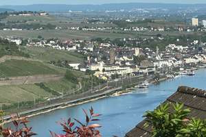 RESERVIERT! Familienfreundliches Domizil in bester Lage mit Rheinblick und separatem Appartement – Die vollständige Adresse der Immobilie erhältst du vom Anbieter., 55411 Bingen am Rhein – Vorschaubild 7
