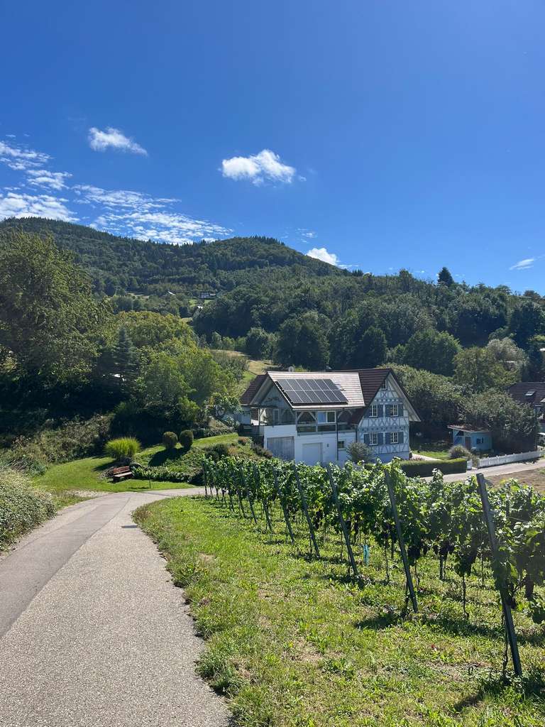 Immobilie in Lauf - Luxuriöses Landhaus 10-Zimmer, eigene Quelle, Solar, energieautark, Hanglage, unverbaubarer Talblick - Bild 1