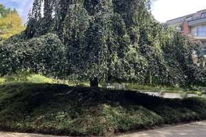 Helle 3-Zimmer-Gartenwohnung in Köln-Niehl - Pure Wohnqualität im "Brunnenplatz Veedel"  – 50735 Niehl, Köln – Vorschaubild 18