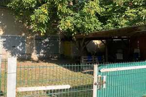 Einfamilienhaus mit großem Grundstück in Leuben bei Oschatz – Oschatz, Nordsachsen (Kreis), 4758 Nordsachsen (Kreis) – Vorschaubild 2