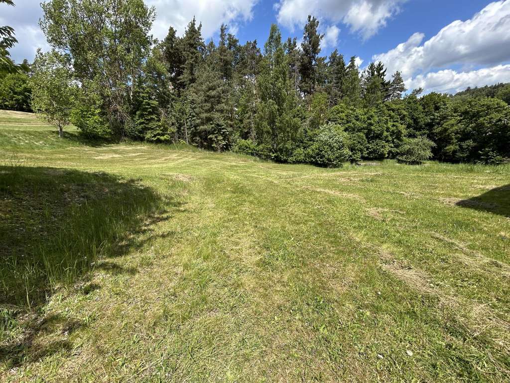 Immobilie in Höchstädt im Fichtelgebirge - Haus sucht Bauer - Bild 4