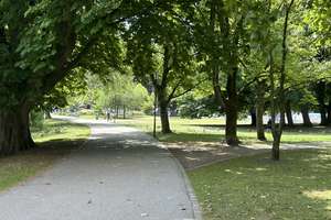 Altersruhesitz im "Dornröschenschlaf "  am Hiroshimapark - mit Aufzug und Garage – Die vollständige Adresse der Immobilie erhältst du vom Anbieter., 24103 Exerzierplatz, Kiel – Vorschaubild 12