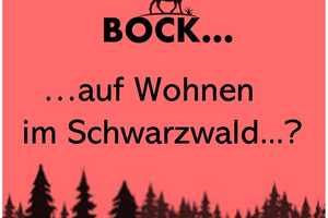 Bock auf Wohnen im Schwarzwald? – Breisgau-Hochschwarzwald (Kreis) – Vorschaubild 1