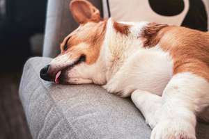 Ohne Eigenkapital möglich. Mietkaufimmobilie abzugeben.