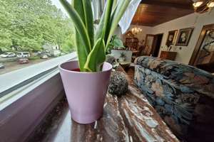 Möblierte Haus mit großer Nutzfläche/Terrasse ohne Nachbarn zu vermieten – Hundebrinkstraße 24, 45326 Altenessen-Süd, Essen – Vorschaubild 33