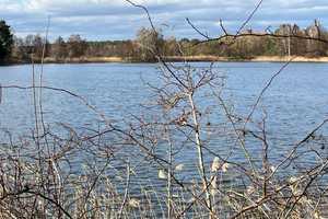 Provisionsfreies Wassergrundstück? … idyllisch und verträumt gelegen … – Oberhavel (Kreis) – Vorschaubild 5