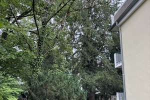 Neu renoviertes Appartement mit Balkon im schönen Trudering – Stieglitzweg 8, 81627 Waldtrudering, München – Vorschaubild 18