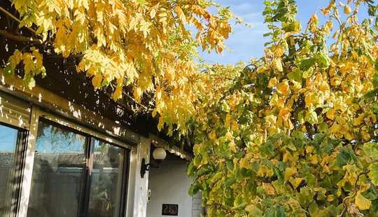 Bild von *RESERVIERT* Keine Erbpacht! Bungalow mit tollem Potential, Vollkeller und Garten in Detmerode