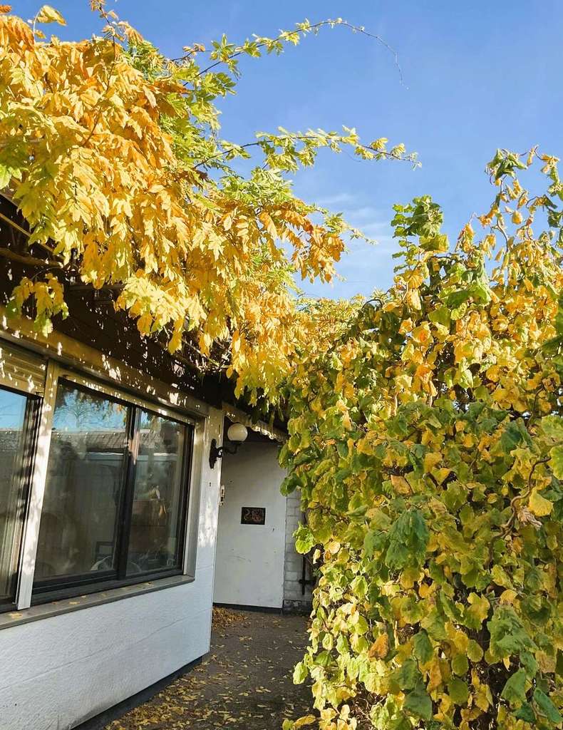 KEINE ERBPACHT! Bungalow mit tollem Potential, Vollkeller & nicht einsehbarem Grundstück *Detmerode*