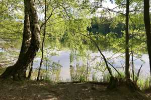 Ruhig. Schön. Schick. Schlachtensee ca. 200 m. Ein Reiheneckhaus für Mama & Papa & Kinder im Grünen – Berlin – Vorschaubild 23