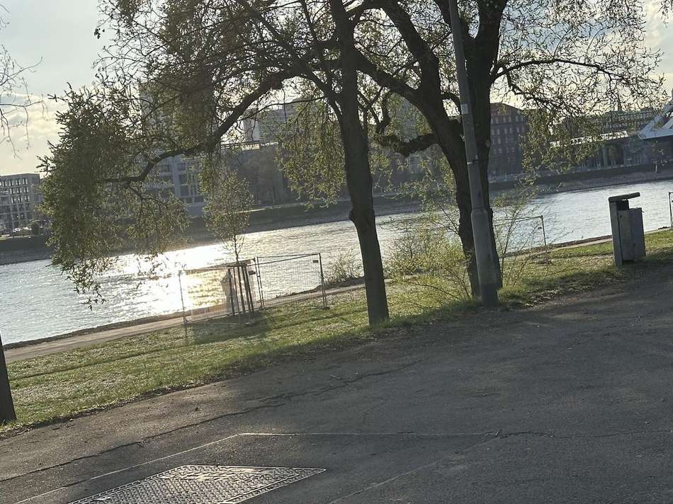IMG 7066