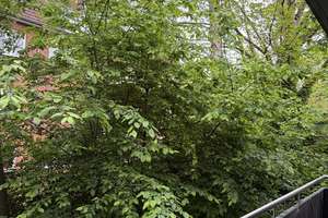 Große Wohnung mit Balkon im Herzen Alsterdorfs – Alsterberg 20 b, 22335 Alsterdorf, Hamburg – Vorschaubild 13
