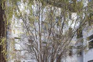 Property thumbnail 18