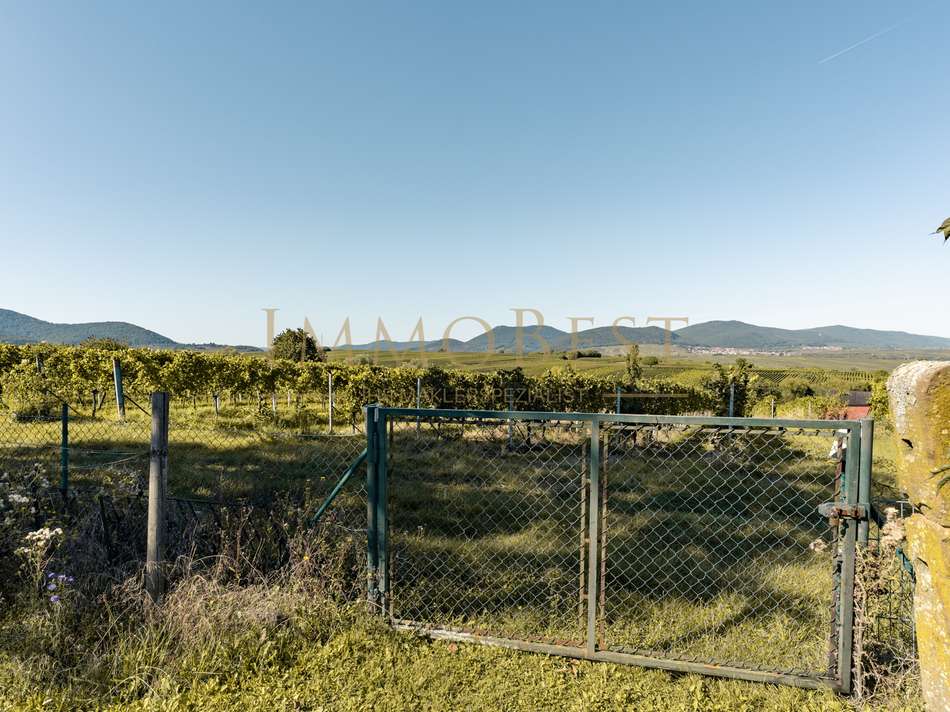 Zugang zum Weinberg