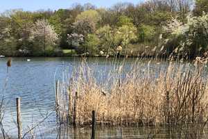 Property thumbnail 36