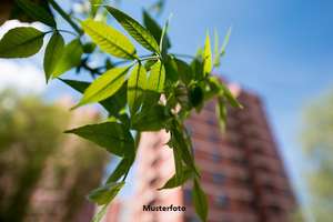 2½-Zimmer-Wohnung nebst Balkon in zentraler Lage