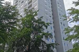 Singles aufgepasst! Schöne Wohnung mit Einbauküche! – Hochring 39, 38440 Wolfsburg – Vorschaubild 1