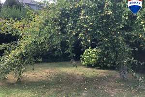 Viel Platz zum Leben, Feiern und Genießen – großzügiges Einfamilienhaus  in Obernkirchen-Röhrkasten – Die vollständige Adresse der Immobilie erhältst du vom Anbieter., 31683 Obernkirchen – Vorschaubild 26