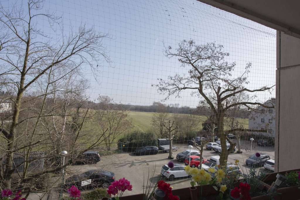 Immobilie in Maintal - Gut vermietete 2ZKB mit Stellplatz in sehr gepflegtem MFH am Feldrand. Käuferprovisionsfrei! - Bild 4