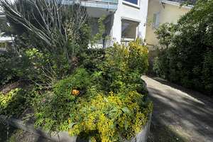 3-Zimmer-Hochparterre mit Süd-Terrasse + Alster-Nähe – provisionsfrei – Alsterdorfer Straße 362, 22297 Alsterdorf, Hamburg – Vorschaubild 14