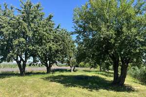 Property thumbnail 13