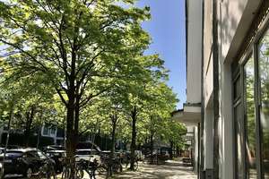 Stimmiges Zuhause Schwabing West/Olympiapark/Neuhausen – Helene-Weber-Allee 13, 80637 Oberwiesenfeld, München – Vorschaubild 4