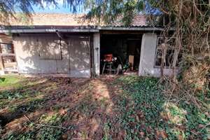 Willkommen in Mosigkau – Anhalter Straße 32, 6847 Mosigkau, Dessau-Roßlau – Vorschaubild 26