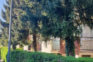 Reserviert!!! Ruhig gelegenes 1-Zimmer-Apartment mit Potential im Fasangarten! – Die vollständige Adresse der Immobilie erhältst du vom Anbieter., 81549 Südgiesing, München – Vorschaubild 6