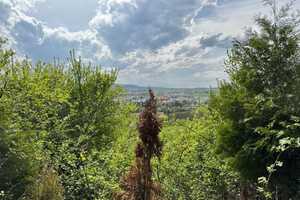 Einfamilienhaus mit riesigem Keller auf großem Grundstück in privilegierter Lage von Kirchheim – Esslingen (Kreis) – Vorschaubild 18