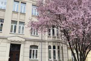 Entspannung pur und City nah, ideal für Stadtliebhaber mit Teilmöblierung – Altendorfer Str. 10, 9117 Chemnitz – Vorschaubild 1