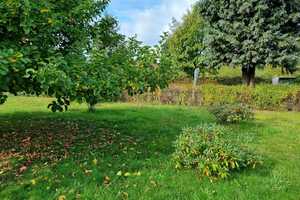 Gepflegte DHH mit Wintergarten - ruhige Lage! – Siedlerstraße 17e, 1877 Bautzen (Kreis) – Vorschaubild 2