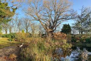 Rarität unter Reet: Historischer Weidehof in idyllischer Alleinlage mit ELW – Die vollständige Adresse der Immobilie erhältst du vom Anbieter., 24817 Tetenhusen – Vorschaubild 20
