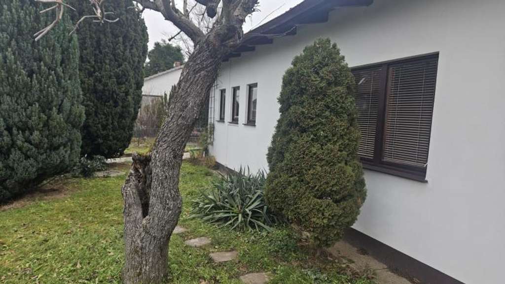 Immobilie in Michelstadt - 2 EFH auf einem Grundstück in ruhiger Wohngegend in Michelstadt - Bild 0