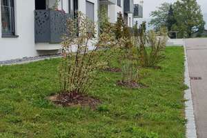 2-Zimmer-Wohnung im OG mit Balkon – Taubenäckerweg 56, 74189 Weinsberg – Vorschaubild 18